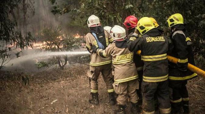 Sejumlah petugas pemadam kebakaran berusaha memadamkan kebakaran hutan di Pumanque, 140 km dari Santiago pada 21 Januari 2017 (AFP)