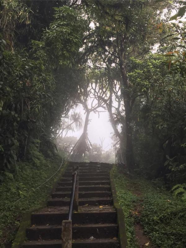 Jalur menuju Pura Luhur Lempuyang, Karangasem, Bali. (satukala/Instagram)