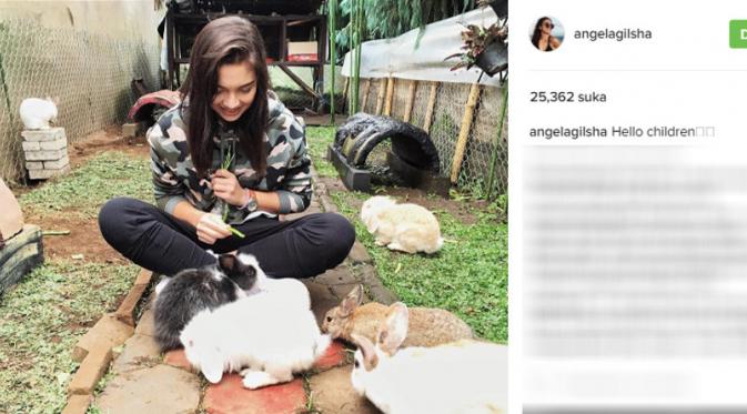 Angela Gilsha bahagia bermain dengan anak kelinci (Foto: Instagram)