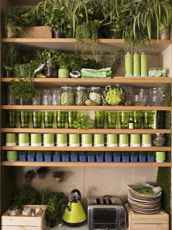 Rak dapur dengan alat makan serba hijau ala hutan tropis. (foto : boredpanda.com)