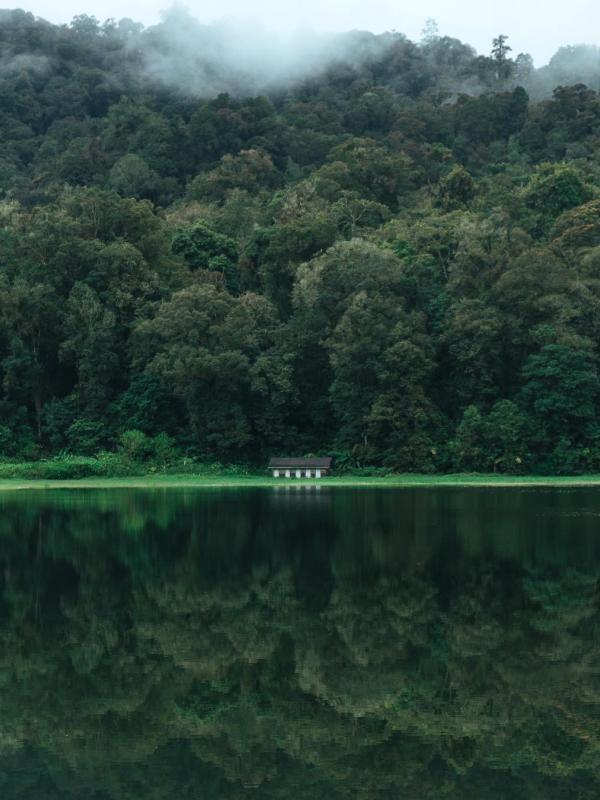 Situ Patenggang, Ciwidey, Bandung, Jawa Barat. (andhikabayu/Instagram)