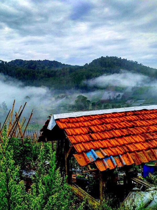 Desa Wisata Wangunharja, Subang, Jawa Barat. (abah_andri/Instagram)