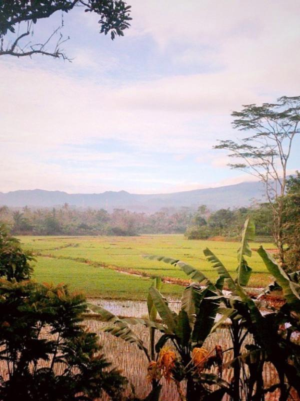 Desa Wisata Sari Bunihayu, Subang, Jawa Barat. (eka.arei/Instagram)