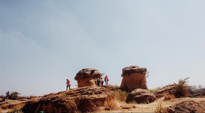 Bukit Jamur, Gresik, Jawa Timur. (irulsiahaan/Instagram)