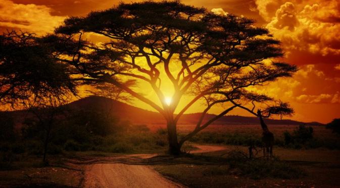 Sunset  Tanzania, Afrika