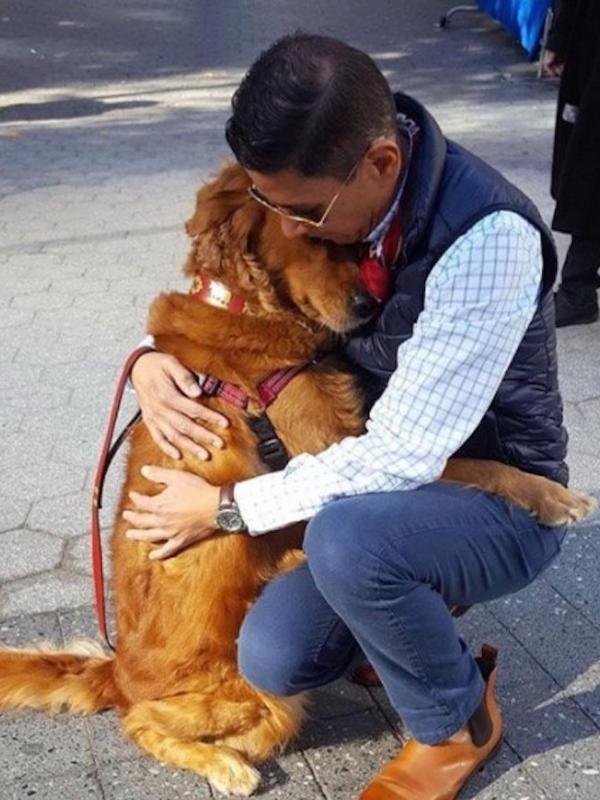Seekor anjing golden retriever bernama Loubie memiliki kebiasaan unik saat diajak jalan-jalan, yaitu memeluk orang asing yang ditemuinya. Sumber: mymodernmet.com.