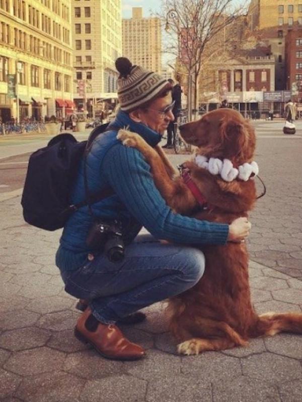 Seekor anjing golden retriever bernama Loubie memiliki kebiasaan unik saat diajak jalan-jalan, yaitu memeluk orang asing yang ditemuinya. Sumber: mymodernmet.com.