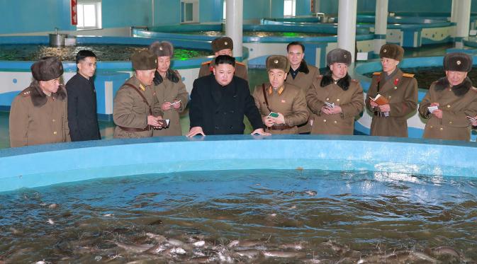 Pemimpin Korea Utara, Kim Jong Un bersama stafnya mengunjungi pembibitan ikan lele di Samchon Catfish Farm, Korea Utara, Selasa (21/2). (AFP Photo/KCNA)