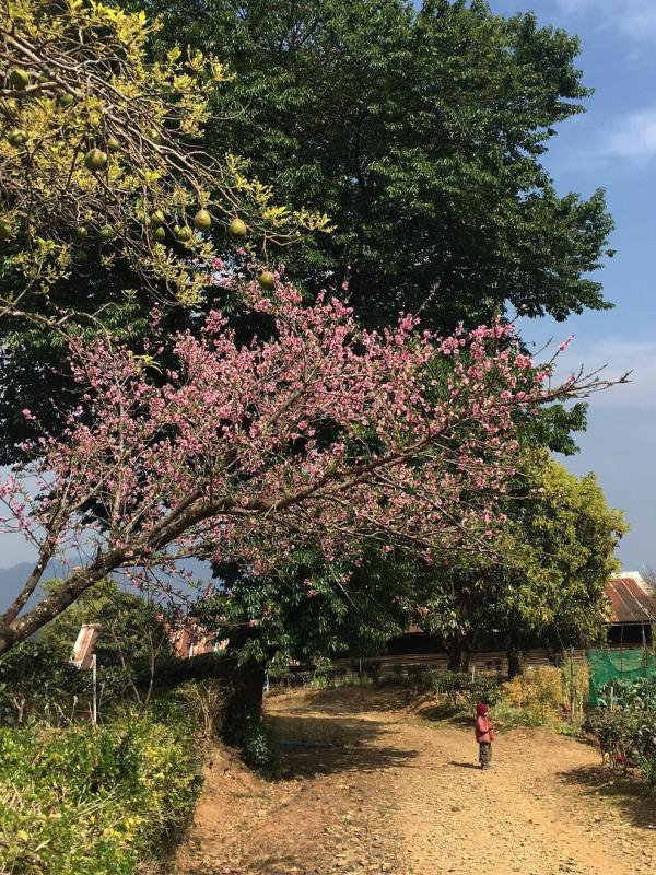 Mindat, Myanmar. (jaapbosman/Instagram)