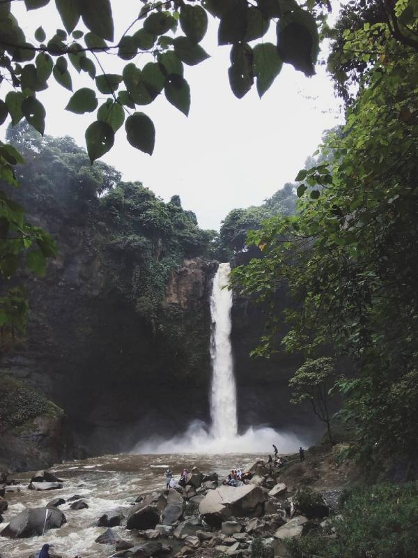 Coban Baung, Pasuruan, Jawa Timur. (vickycwildan/Instagram)