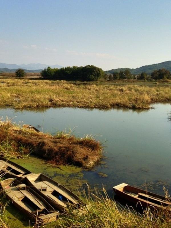 Upo Marsh, Korea Selatan. (sokolo/Instagram)