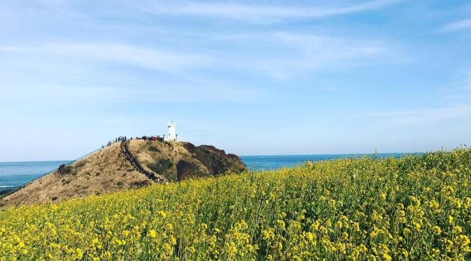 Seopjikoji, Jeju Island, Korea Selatan. (ebstheme/Instagram)