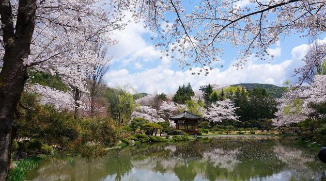 Bomun Pavilion, Gyeongju, Korea Selatan. (seulki._.m/Instagram)