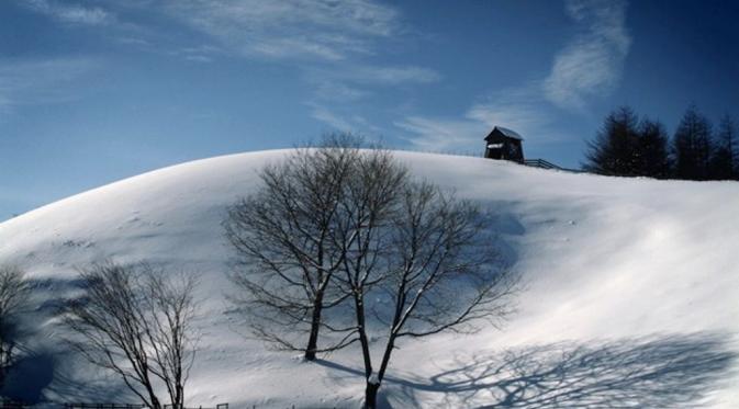 Daegwallyeong Ranch, Korea Selatan. (Korea Tourism)