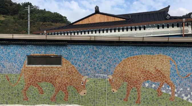 Cheongdo Bull Fighting Festival, Korea Selatan. (norasmahnoa/Instagram)