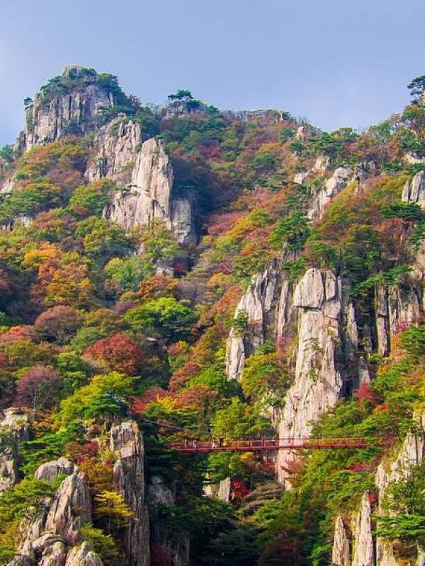 Daedun Mountain Suspension Bridge, Korea Selatan. (flydream_drone/Instagram)