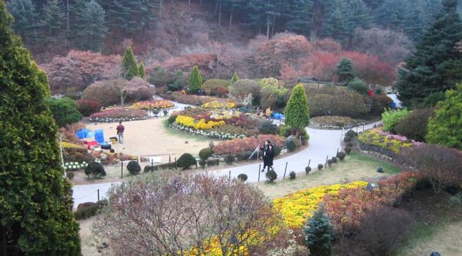The Garden of Morning Calm, Korea Selatan. (karinameyrita/Instagram)