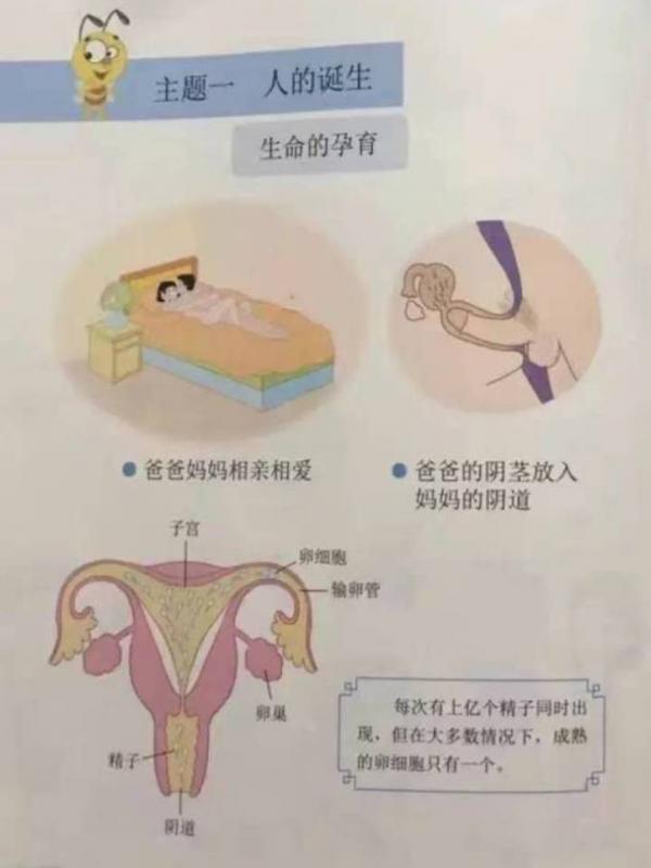 Buku cetak pendidikan seks untuk kelas 2 | via: shanghaiist.com