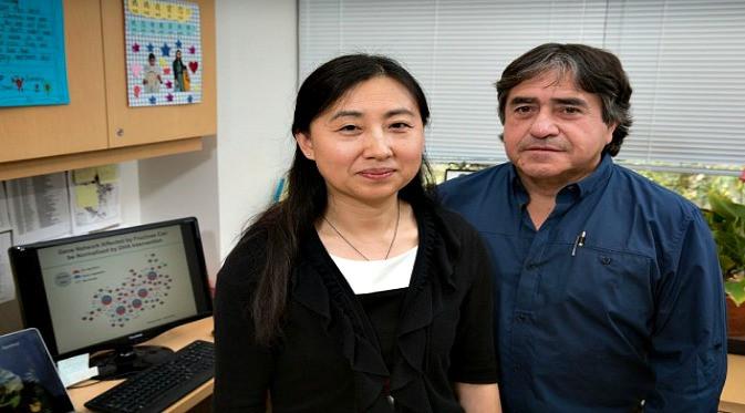 Peneliti dari UCLA, Xia Yang dan Fernando Gomez-Pinilla mempublikasikan penelitian cedera otak bisa memicu gangguan mental. (Foto: Daily Bruin)