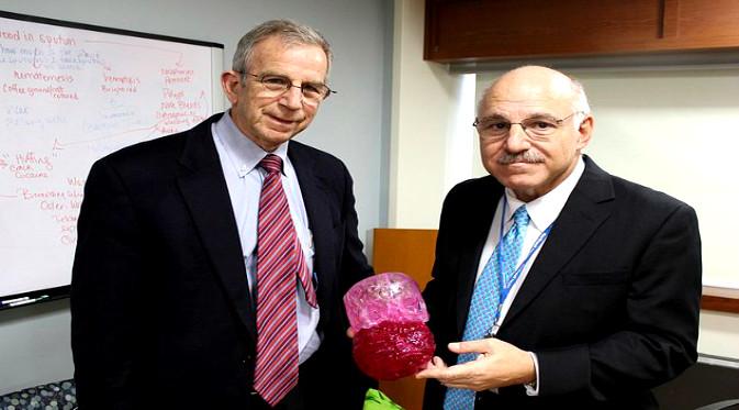 Dr David Hoffman (kiri) dan Dr Armen Kasabian memegang model tumor yang tumbuh pada rahang Janet. (Foto: Mail Online)