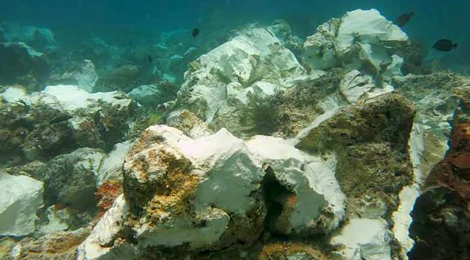 Kondisi terumbu karang yang rusak di perairan Raja Ampat usai dihantam kapal pesiar Inggris, Papua, Senin (13/3). Pemerintah Indonesia berencana menuntut ganti rugi atas kerusakan terumbu karang seluas hampir 1600 m2. (AFP Photo/Bakamla)