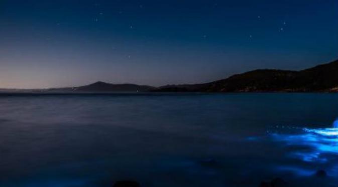 Pantai di Tasmania berpendar cahaya biru. (Instagram/Leanne Marshall)