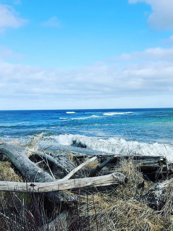 Haida Gwaii, Kanada. (remarkablerebma/Instagram)
