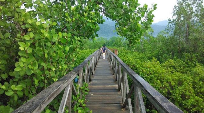 Hutan Mangrove Pancer Cengkrong, Trenggalek, Jawa Timur. (arjunamadha/Instagram)