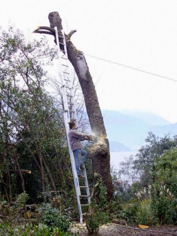 Alasan kenapa cewek lebih panjang umur daripada cowok. (Via: boredpanda.com)