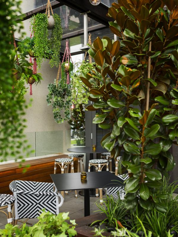 Terperangkap dalam kehidupan hutan nan liar, inilah konsep interior yang dihadirkan oleh restoran italia di Canberra, Agostinis. (Foto : Agostinis)