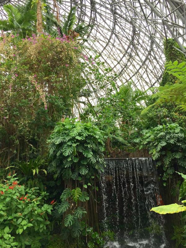 Yumenoshima Tropical Greenhouse Dome, Tokyo, Jepang. (kanakoba84/Instagram)