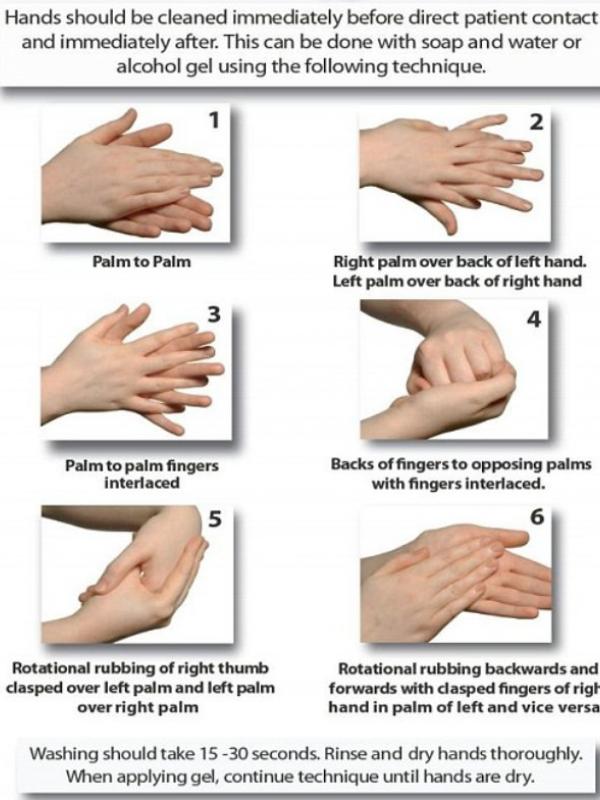 6 langkah mencuci tangan yang baik dan benar. | via: dailymail.co.uk