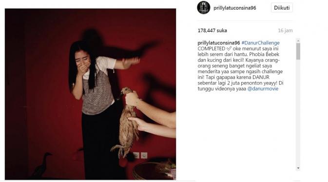 Prilly Latuconsina ditantang pegang bebek (Foto: Instagram)