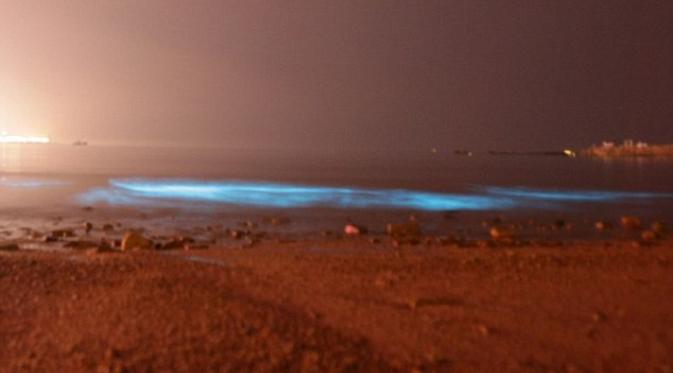 Fenomena Cahaya Biru di Qingdao Timbulkan Rasa Penasaran Wisatawa