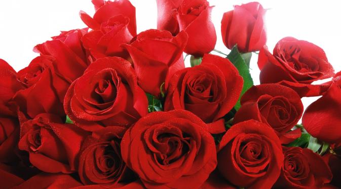 Tak hanya sekedar bunga, namun mawar juga memiliki manfaat untuk kecantikan wajah.