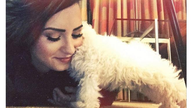 Demi Lovato punya anjing baru