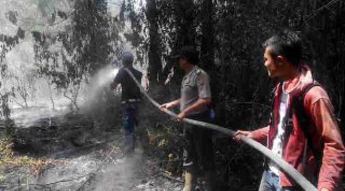 Petugas memadamkan kebakaran lahan dan hutan di Bengkalis, Riau. (Liputan6.com/M Syukur)
