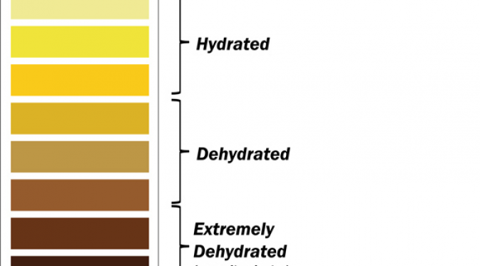 Status hidrasi berdasarkan warna urine.