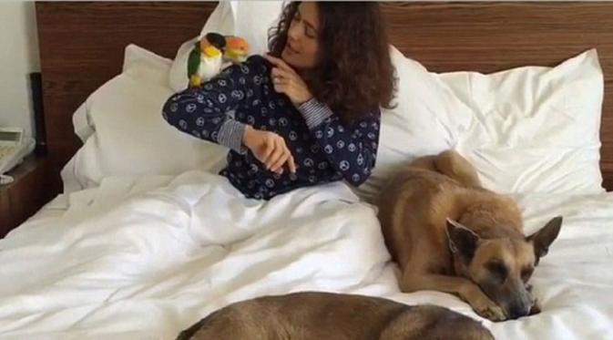 Salma Hayek perkenalkan empat binatang peliharaannya di Instagram