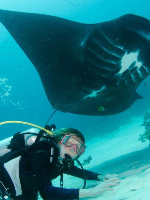 Menyelam bersama ikan manta di Raja Ampat | via: extremesports.com
