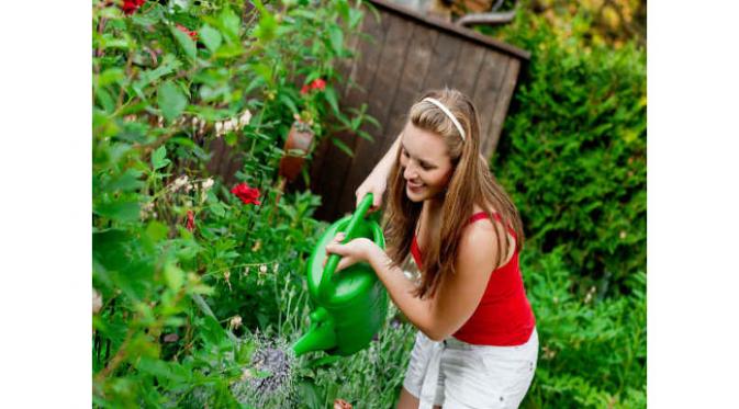Hal-hal berikut sebaiknya tidak dilakukan saat menanam tomat di pekarangan rumah.