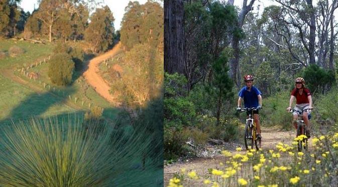 The Munda Biddi Trail, jalur berpetualang menggunakan sepeda berlatar keindahan Australia.