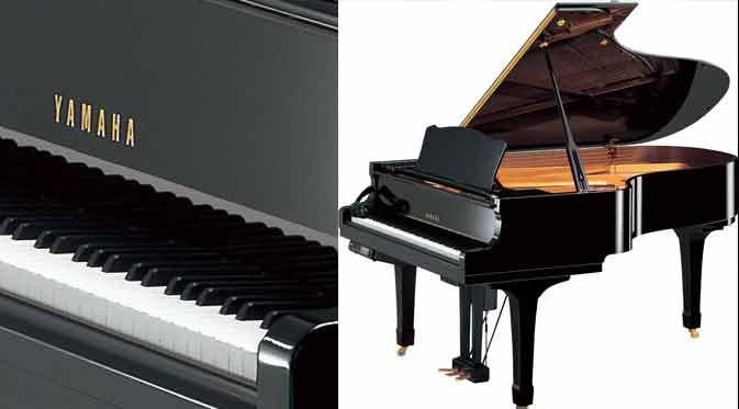 DC5XE3-PE adalah salah satu piano termahal di dunia