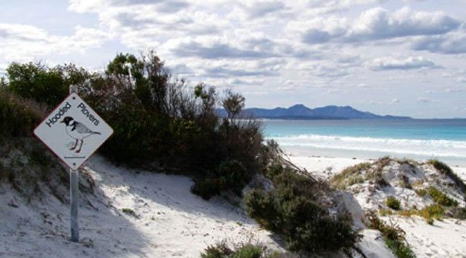 Ketika musim liburan tiba, pantai-pantai di Australia ini akan padat dengan turis dari berbagai negara. Kecuali 6 pantai berikut ini