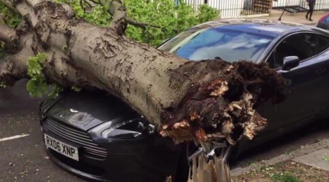  Mobil mewah Aston Martin tertimpa pohon tumbang (Foto: Gearheads).