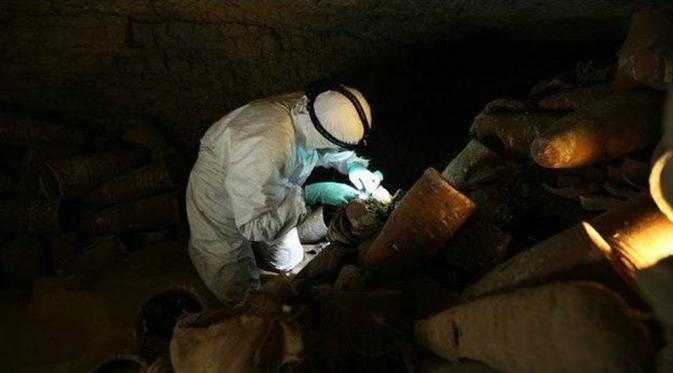 Kuburan mumi hewan yang ditemukan para ilmuwan. (BBC)