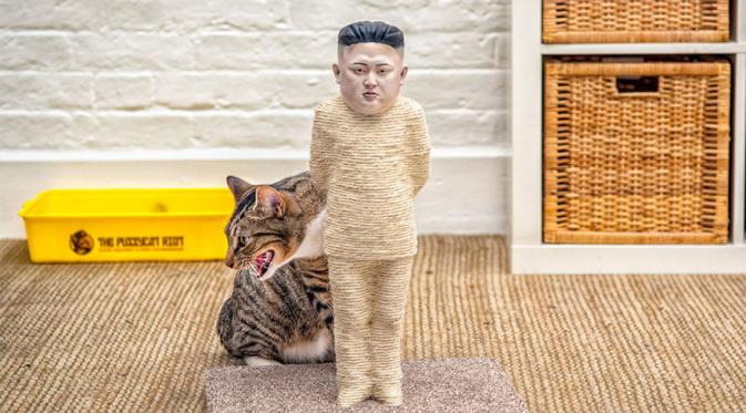 Kucing ini berani cakar Kim Jong. (Via: sobadsogood) 