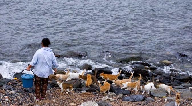 Pulau kucing di Sulawesi Barat. (Via: rinaldi-pakuli-pata-traveler-indo.blogspot.com)