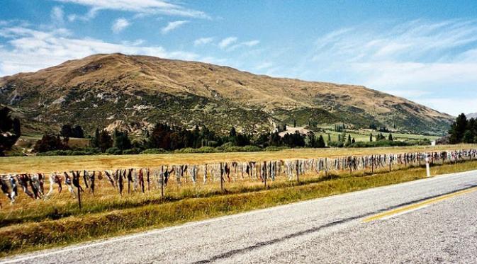 Ingin berwisata mengunjungi pagar kawat yang dipenuhi dengan bra? Temukan di Selandia Baru.