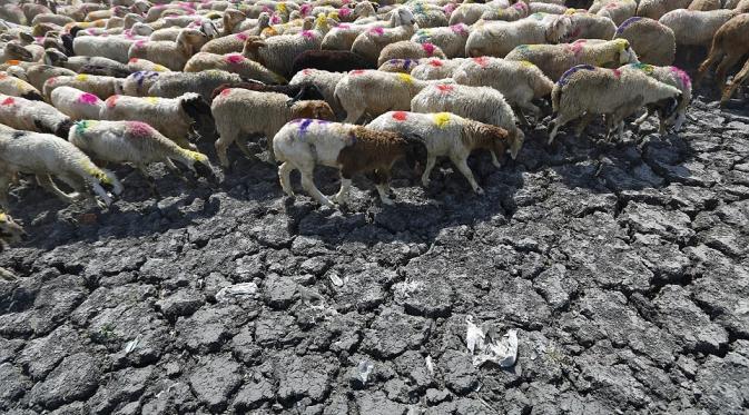 Tanah meretak sebab panas India (Via: dailymail.co.uk)